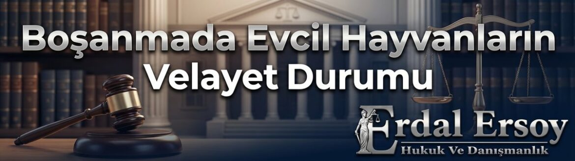 Boşanmada Evcil Hayvanların Velayet Durumu | Hukuki Rehber thumbnail
