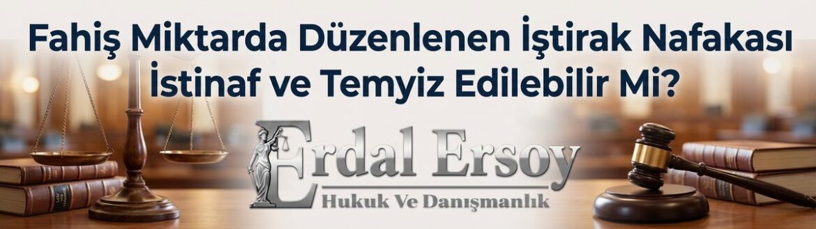 Fahiş Miktarda Düzenlenen İştirak Nafakası İstinaf ve Temyiz | Hukuki İnceleme thumbnail