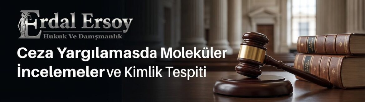Ceza Yargılamasında Moleküler Genetik İncelemeler ve Kimlik Tespiti thumbnail