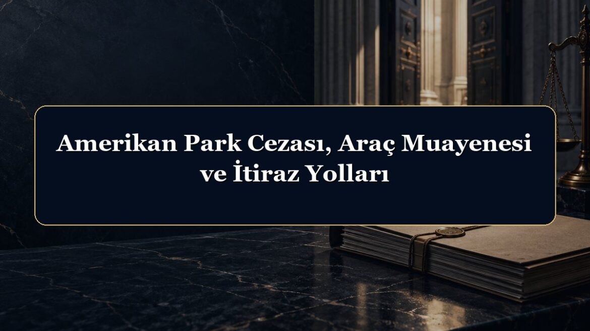Amerikan Park Cezası, Araç Muayenesi ve İtiraz Yolları